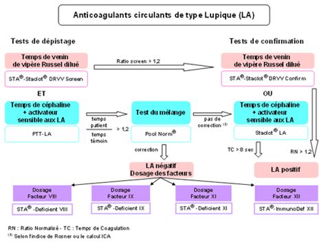 Recherche d’un anticoagulant circulant de type lupique